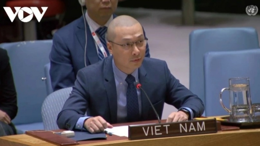 Vietnam backs substantive reform of UN Security Council